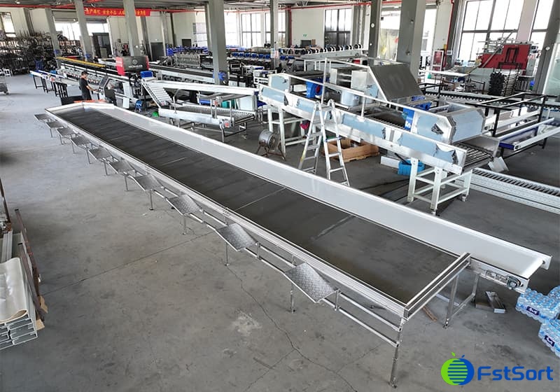 cantaloupe packing table.jpg cantaloupe packing table.jpg